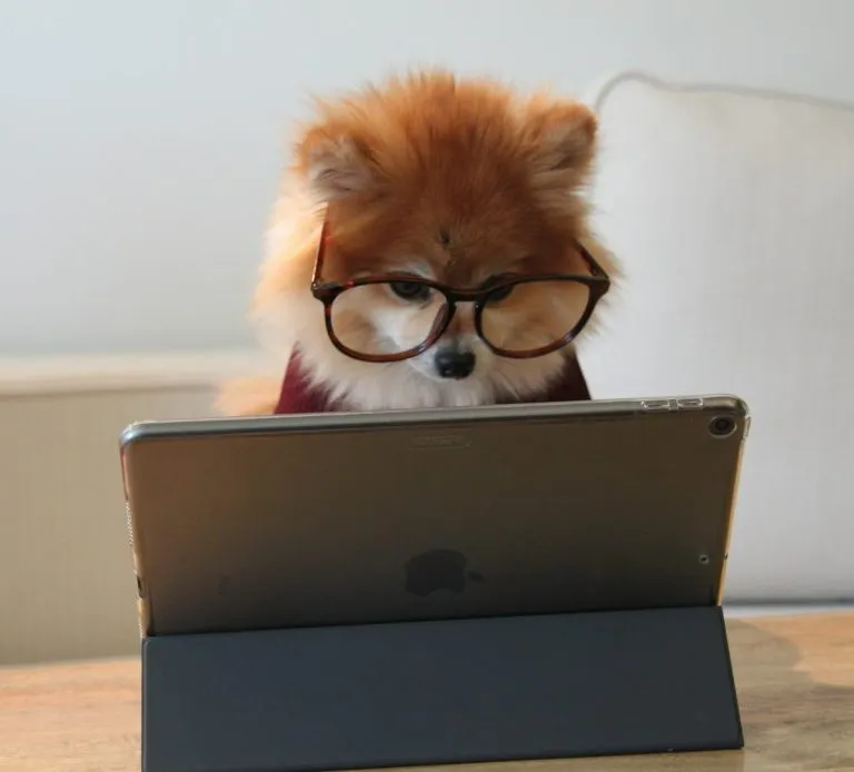 Handicap et maladie - GERROZE